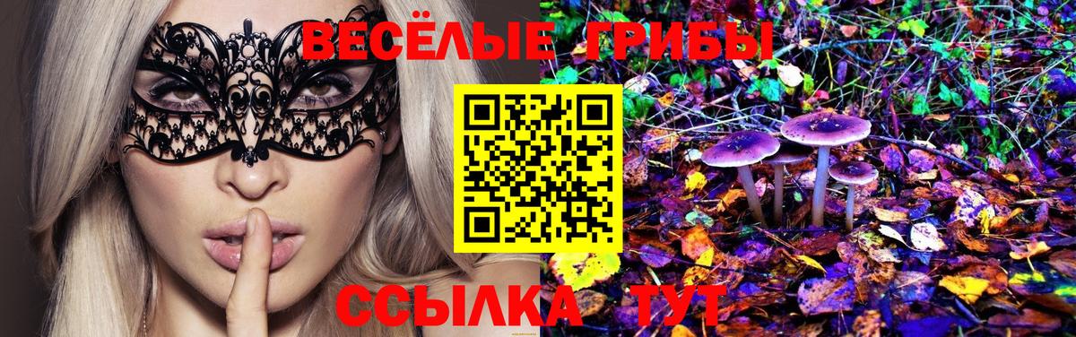 Галлюциногенные грибы Psilocybe Кандалакша