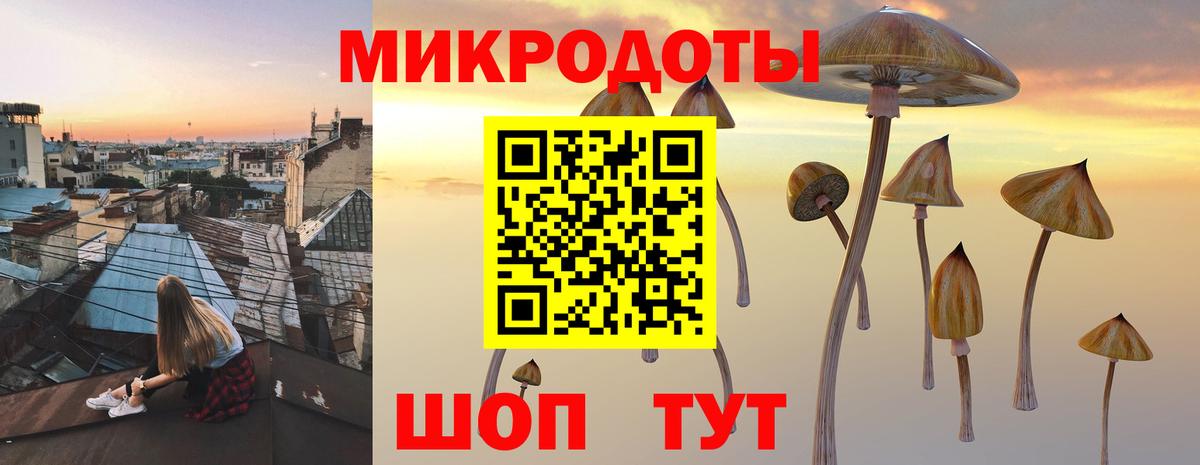 Галлюциногенные грибы Psilocybine cubensis  Псилоцибиновые грибы Psilocybine cubensis  Кандалакша  Вход с VPN 